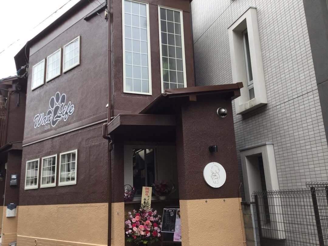 WanLife cafe